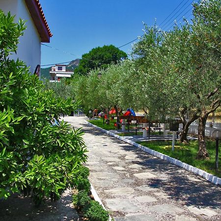 Dimos Bungalows PalaiónTsiflíkion Dış mekan fotoğraf